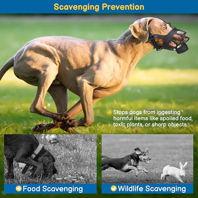 BARKLESS Basket Muzzle for Dogs, Humane Muzzle to Prevent Biting and Scavenging, Snap-on Treat Cover Helps Dogs Acclimatize Mouth Cover, Adjustable Mouth Guard for Positive Training, Grooming