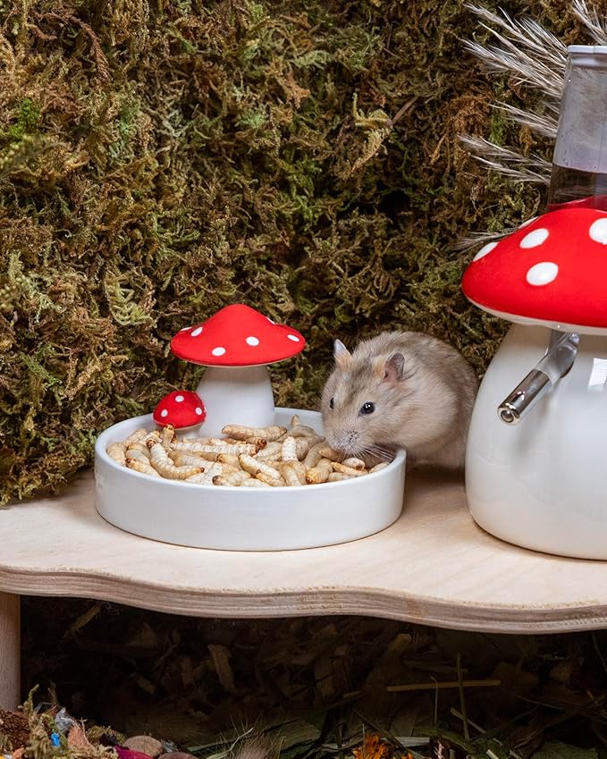 Niteangel Small Animal Snack & Treats - Small Critter Natural Treat for Dwarf Syrian Hamsters Gerbils Mice Sugar Glider Hedgehogs Chickens Birds (Freeze-Dried Worms- 0.9oz (25g))