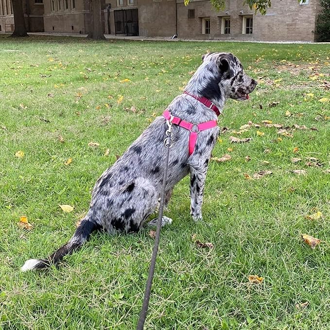 PUPTECK No Pull Dog Harness Soft Adjustable Basic Nylon Step in Puppy Vest Outdoor Walking with ID Tag DeepPink