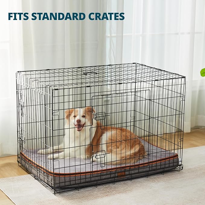 Memory Foam XL Dog Bed - 4” Thick Orthopedic Beds for Extra Large Dogs - Waterproof Dog Bed with Removable Washable Cover & Wrap-Around Zipper - Ultimate Comfort and Easy Maintenance