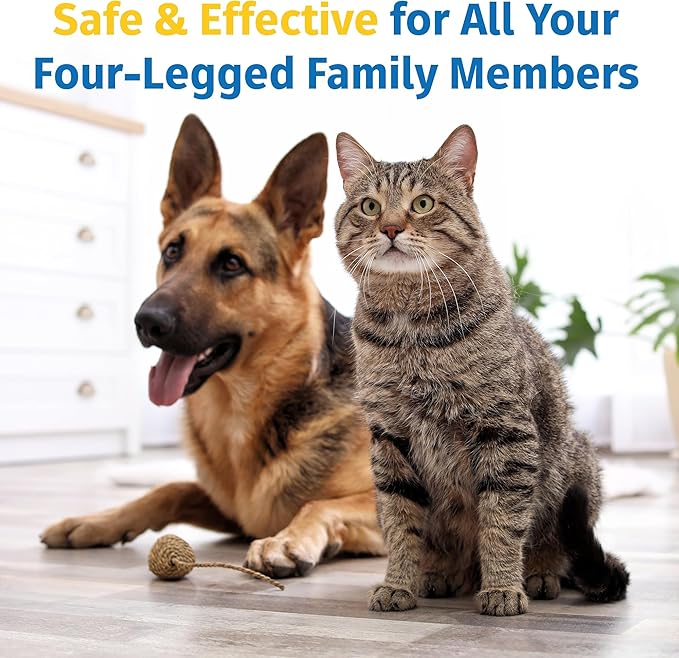 Hip & Joint Supplement for Dogs & Cats with Cetyl Myristoleate, Glucosamine, Collagen, MSM - Advanced Joint Support for Mobility, Senior Pets, Small & Large Breeds - 60 Chews (Pork Liver)