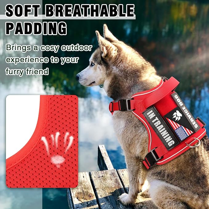 WINSEE Service Dog in Training Harness with 5 PCS Patches, Reflective Tactical Dog Vest Harness, Adjustable Soft Oxford Pet Harness with Easy Control Handle, Hook & Loop Panels for Walking Hiking