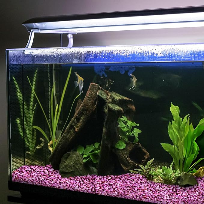 Hygloss Products Craft Rocks, Mini Stones for Art Projects - Bag O' Gravel, Neon Purple, 5 lb