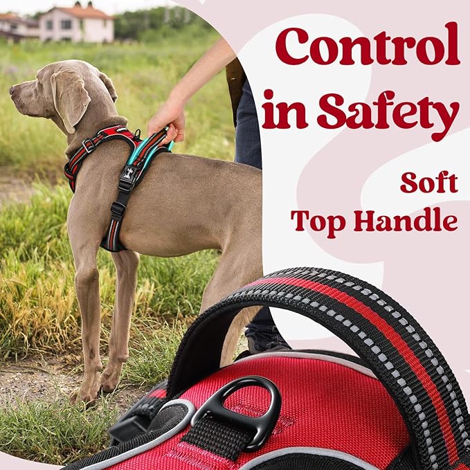 rabbitgoo Dog Harness for Large, No Pull Pet Harness with 3 Buckles, Adjustable Soft Padded Vest with Control Handle, Walking Reflective Pet Vest for Large Dogs, Red, L