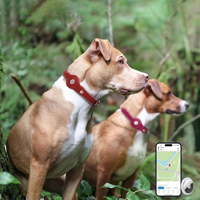 OOPSDOGGY Reflective Geniune Leather Airtag Dog Collar Soft Padded Collars for Small Medium Large Breed Dogs Puppy, 4 Sizes, 7 Colors (Red, Medium, 12"-15")