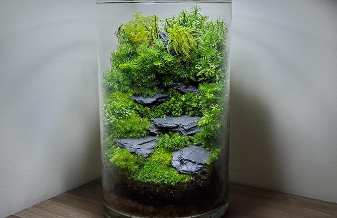 Natural Slate Stone 3 to 5 Inches - USA Sourced and Packaged for Aquascaping Aquariums, Terrariums, Paludariums, Reptiles, Wargaming, Model Railroads, Miniature Gardens, Mosaic Art (12lbs)