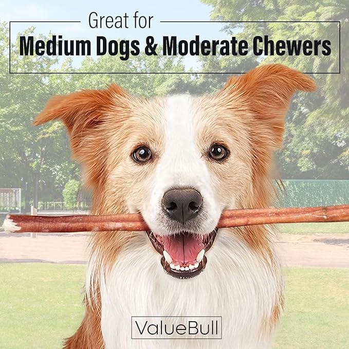 ValueBull Bully Sticks for Dogs, Medium 12 Inch, 25 Count - All Natural, Grass Fed, Single Ingredient, Long Lasting Dog Treats