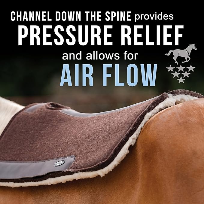 Professional's Choice 100% Steam-Pressed Wool Felt Saddle pad