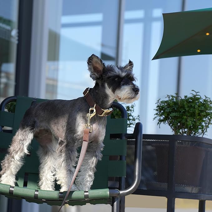 PET ARTIST PU Leather Dog Collar, Bright & Stylish Brown Dog Collar with Quick Release Gold Metal Buckle, Soft Nylon Padded Durable Pet Collars Adjustable for Large Dogs, Neck Fit 16-27"