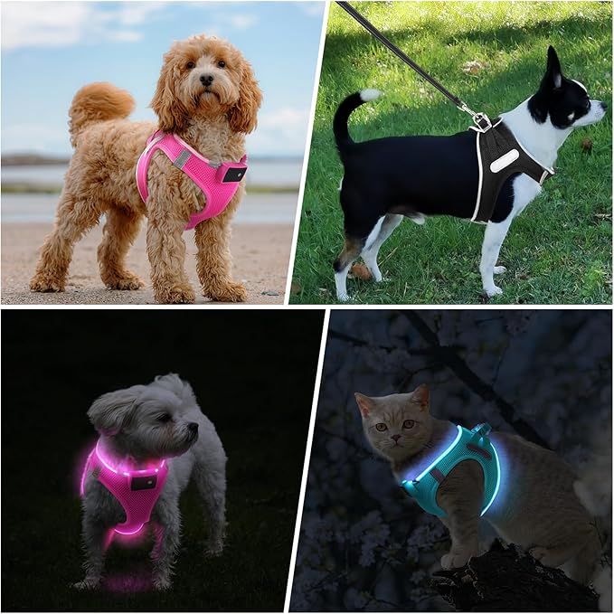 PceoTllar Light Up Dog Harness, LED No Pull Reflective Dog Harness, Flashing Lighted for Night Walking - Small/Medium, (Pink,XS)
