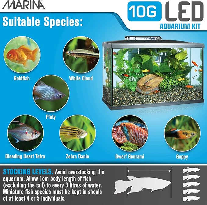 Marina LED Aquarium Kit, 10 gallon