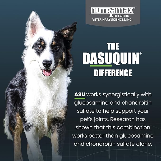 Nutramax Dasuquin for Small to Medium Dogs, Joint Health Supplement, Contains Glucosamine for Dogs, Plus Chondroitin, ASU and More, Supports Healthy Joints, Soft Chews, 84 Count