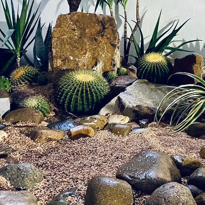 5lbs Aquarium Gravel, 1/8"(2-4mm) Natural River Rocks Succulent Cactus Pea Gravel for Plants, Fish Tank, Decorative Pebbles for Gardening, Flower Pots, Vase Fillers, Landscaping