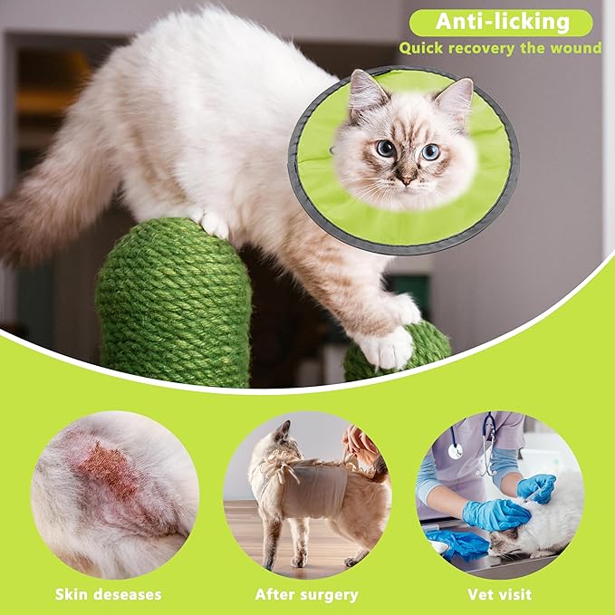 Lightweight Cat Cone Collar Soft, Soft Comfortable Cat Recovery Collar After Surgery, Elizabethan E Collar for Cats, Cone for Cats to Stop Licking (Water Green, Medium)