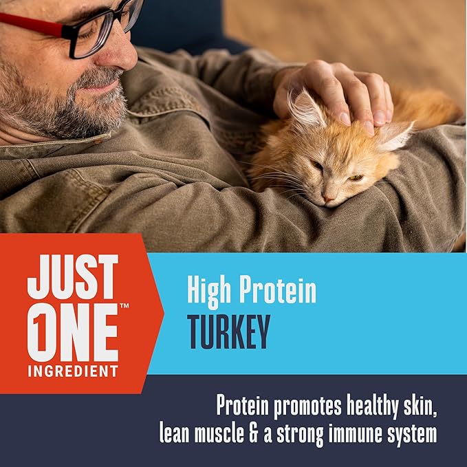 Whole Life Cat Just One Turkey Freeze Dried Cat Treats - Human Grade High Protein Food, Healthy Training Snacks, Freeze Dried Turkey Food Toppers, USA Made Natural Treats - 2.5 oz (Pack of 1)