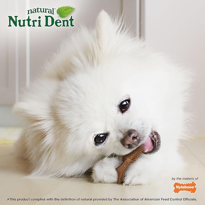 Nylabone Nutri Dent Dog Dental Treats - Natural Dog Teeth Cleaning & Breath Freshener - Dental Treats for Dogs - Filet Mignon Flavor, Mini (78 Count)