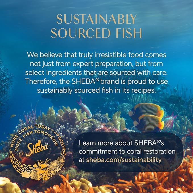 Sheba Perfect Portions Wet Cat Food Cuts in Gravy Variety Pack, with Sustainable Tuna and with Sustainable Salmon, 2.6 oz. Twin-Pack Trays (12 Count, 24 Servings) (Pack of 2)