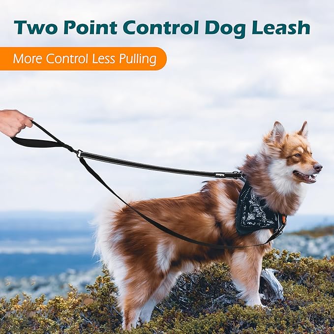 PetBonus Two Point Control Dog Leash, Works with No Pull Harnesses, No Tangle Training Leashes, Soft Padded and Reflective Walking Lead, Converts to Single Lead for Medium Large Dogs (Black)