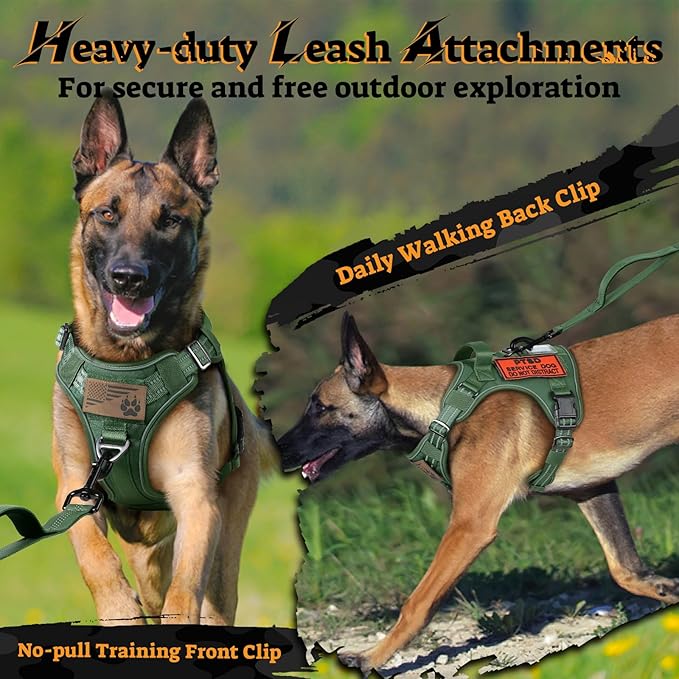 rabbitgoo Dog Harness Small Sized No Pull, Tactical Service Pet Vest with Molle and Control Handle, Adjustable and Reflective Military Harness for Easy Walking and Training, Green, S