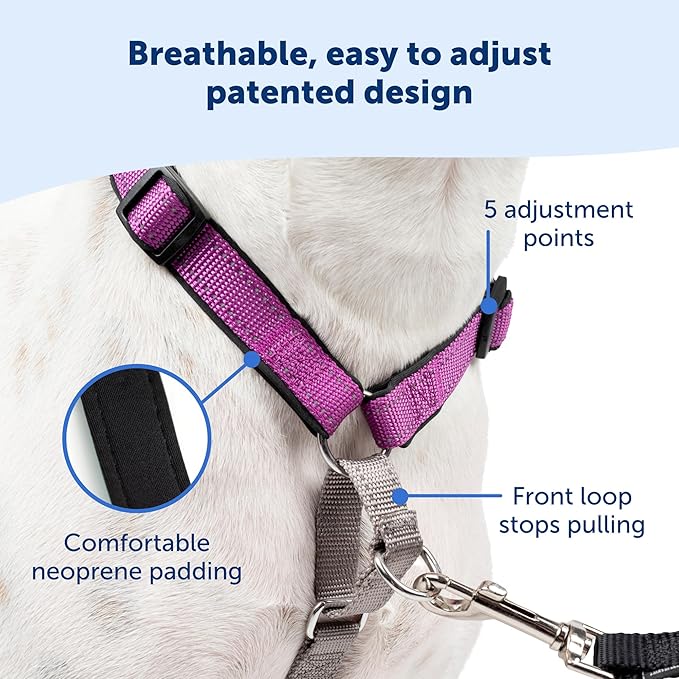 PetSafe 3 in 1 Dog Harness - No Pull Solution for Dogs - Reflective Dog Harness - Front D-Ring Clip Helps Stop Pulling - Comfortable Padded Straps - Top Handle Enhances Control - Teal - Medium