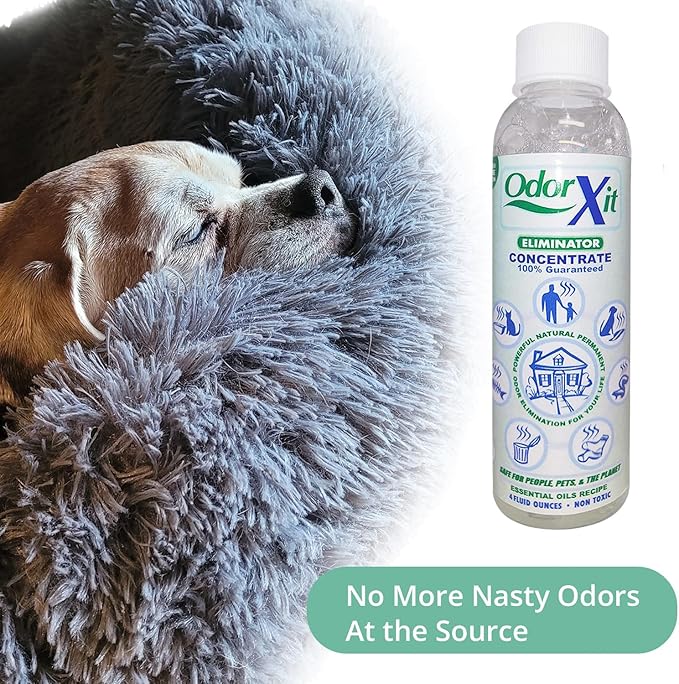 Odor Eliminator Concentrate (4oz) + Magic Air Odor Neutralizer Spray (8oz) – Natural & Safe Odor Removal for Pets, Home & On-the-Go