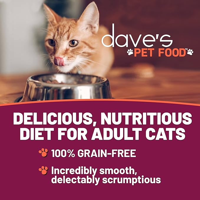 Dave's Pet Food Grain Free Wet Cat Food (Chicken & Duck Saucey Pate), Naturally Healthy Canned, Added Vitamins & Minerals, Wheat Free, 5.5 oz (24 Pack)