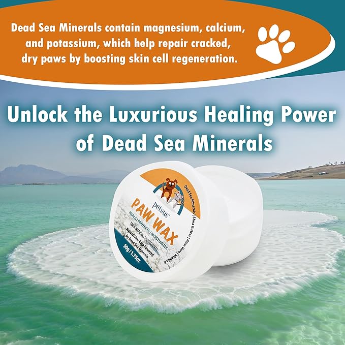 Natural Dog Paw & Nose Balm – Moisturizing Paw Wax with Dead Sea Minerals | Lick-Safe, Organic Balm for Dry, Cracked Paws & Dry Noses | Heat, Ice & Terrain Protection – 1.75 oz