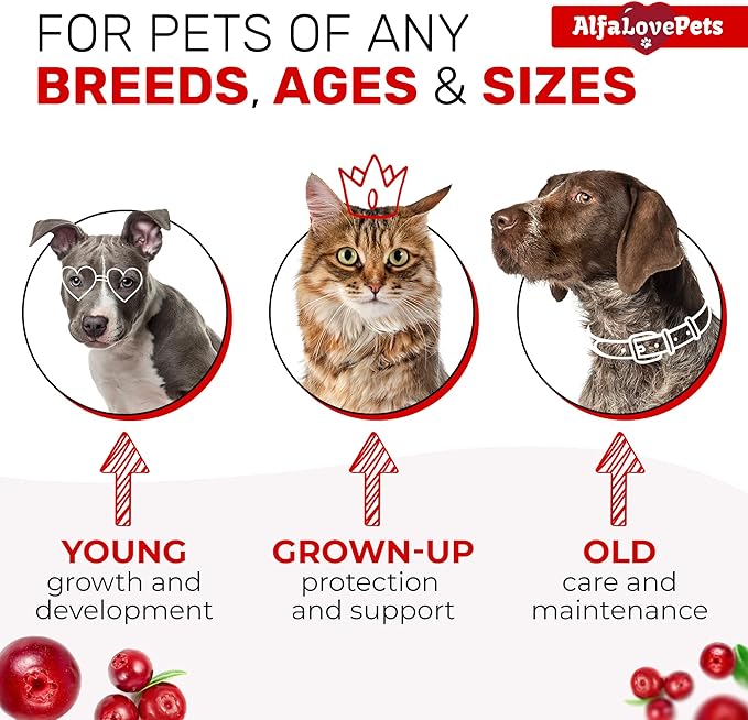 Liquid Multivitamin for Dogs – Cat Multivitamins for Indoor Cats – 10-in-1 Liquid Dog Vitamins B Complex, C, D3 – Digestion, Urination, Hip & Joint, Skin & Coat – Cranberry Flavor – 2 Oz