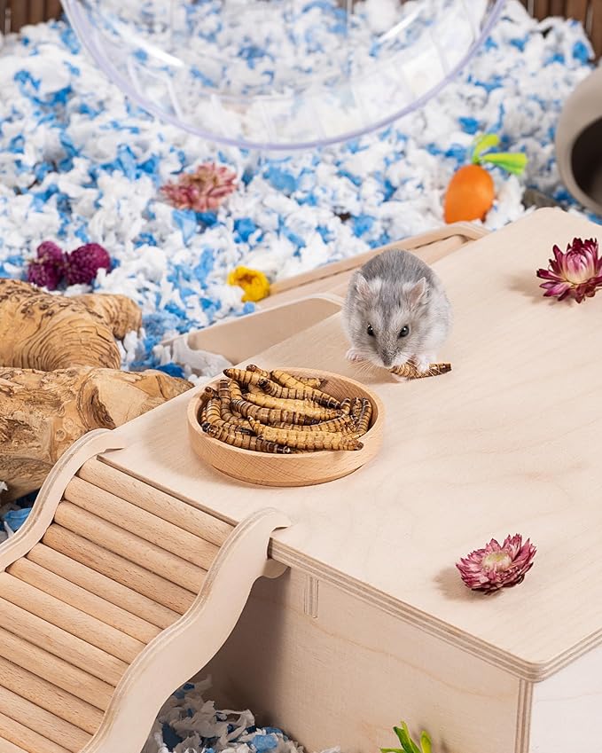 Niteangel Small Animal Snack & Treats - Small Critter Natural Treat for Dwarf Syrian Hamsters Gerbils Mice Sugar Glider Hedgehogs Chickens Birds (Freeze-Dried Worms- 1.4oz (40g))