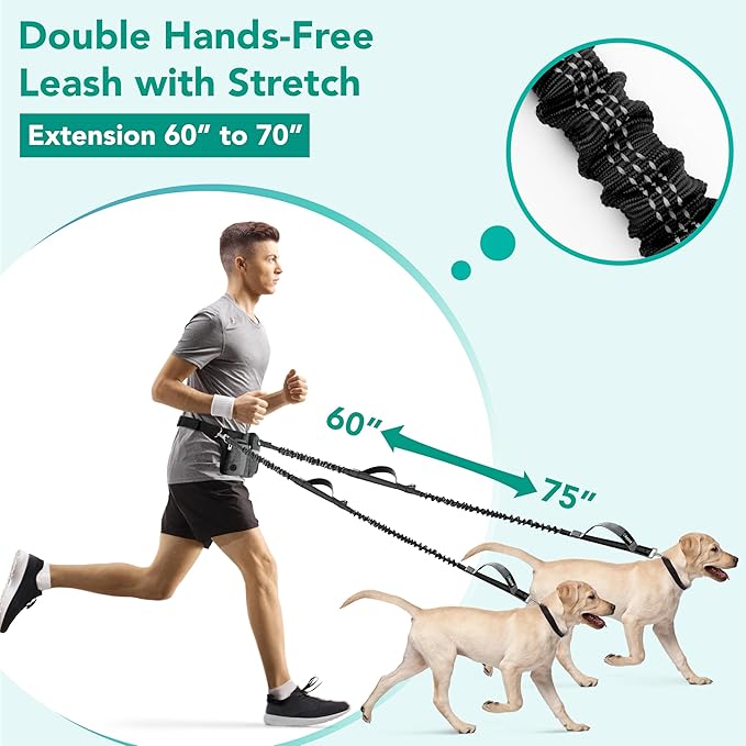 PetAmi Premium Hands Free Dog Leash for 2 Dogs, Adjustable Waist Belt Leash for Dog Walking, Fanny Pack Accessories Bag Dual Bungee Leash for Running, Hiking, Jogging, Biking, Charcoal Grey