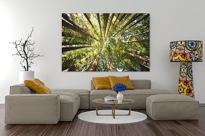 Nature Wall Art Prints - Ocean Forest Mountain Lake Canvas Landscapes - Small to Extra Large Living Room Bedroom Kitchen Bathroom Décor (Serenity in the Forest, 31L" x 47W")