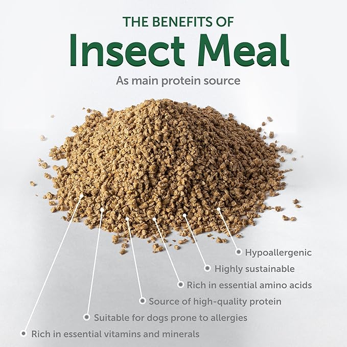 Nature's Protection Superior Care White Dogs Grain-Free Dry Dog Food - High Protein, Tear Stain Dog Food for Small & Mini Breeds Light Coated Adult Dogs, Fresh Pet Meal, Insect, 22 lb