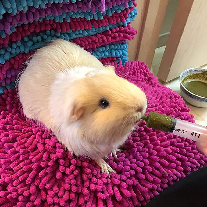 Sherwood Pet Health Guinea Pig Emergency Kit (Small) with Timothy Recovery Food and Appetite Restore in Stay-Fresh Packets