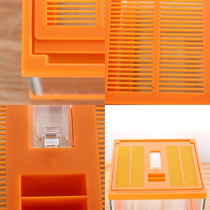 crapelles Reptile Terrarium kit Color Orange Spider Container Tarantula Box cage Gecko Habitat Insect Enclosure pet Tank Frog Carrier Tortoise Snail Container Hermit Crab House Cricket breeding