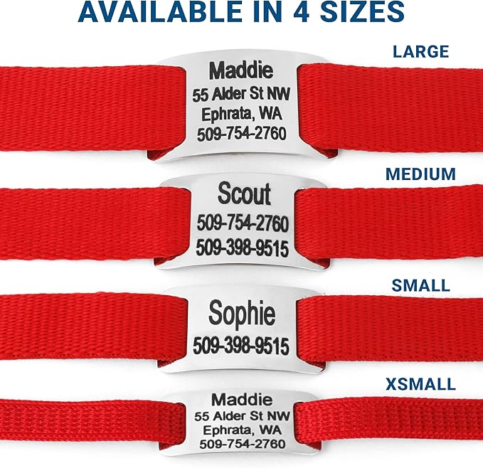 GoTags Personalized Dog Collar with Nameplate, Adjustable Dog Collar with Custom Engraved Slide On Pet ID Tag in Stainless Steel, Silent, No Noise Dog Tag for Large Medium and Small (Red, Medium)