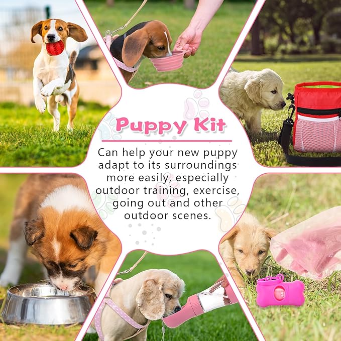 65 Pcs Puppy Supplies Starter Kit Small Dog Essentials Includes Dog Leash, Toys, Bowl, Brushes, Water Bottles, pet Blankets Puppy Accessories for New Welcome Gift Supplies(Cute,Pink)