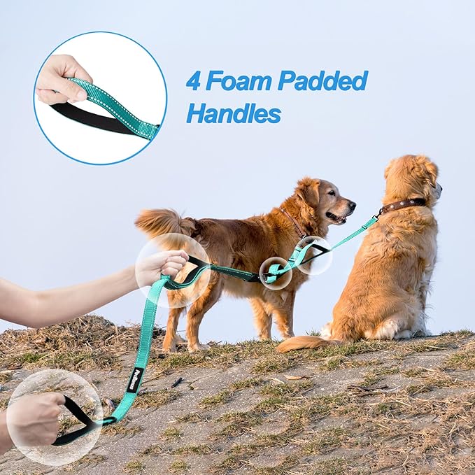 PetBonus Double Dog Leash, No Tangle Dual Leash, Reflective Walking Training Lead, 4 Comfortable Padded Handles for 2 Dogs with Collapsible Bowl and Waste Bags (Turquoise, Large)