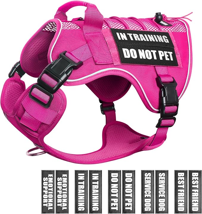 WINSEE Service Dog in Training Mesh Harness with 10 Pet Patches, Soft Air Mesh Breathable Tactical Dog Molle Vest, Reflective Military Pet Vest for Walking Hiking for Large Dogs