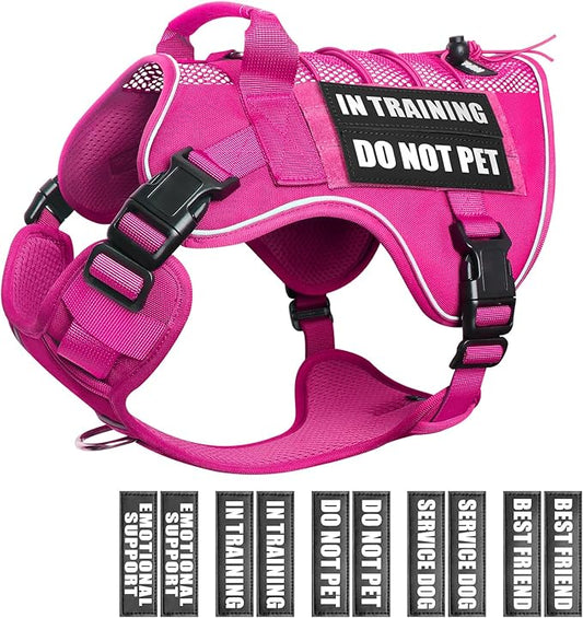 WINSEE Service Dog in Training Mesh Harness with 10 Pet Patches, Soft Air Mesh Breathable Tactical Dog Molle Vest, Reflective Military Pet Vest for Walking Hiking for Large Dogs