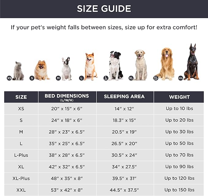 Bedsure Orthopedic Dog Beds for Small Dogs - Washable Small Dog Cat Bed Waterproof, Comfort Pet Couch Sofa with Washable Removable Cover, Pets Bed with Nonskid Bottom, Hazel, 24"