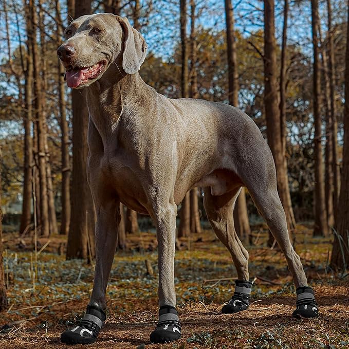 Dog Shoes for Large Dogs, Medium Dog Boots Paw Protectors for Winter Snowy Day, Summer Hot Pavement, Waterproof in Rainy Weather, Outdoor Walking, Indoor Hardfloors Anti Slip Sole (Black5#)