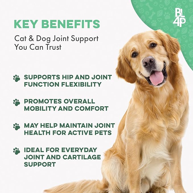 Walk-Easy Dog Hip & Joint Supplement, Effective Dog Pain Relief and Anti-Inflammatory Supplement for Mobility, Canine Joint Pain Relief, ACL Tears, Limping, Knee and Back Aches, Easy to Give 2 Pack