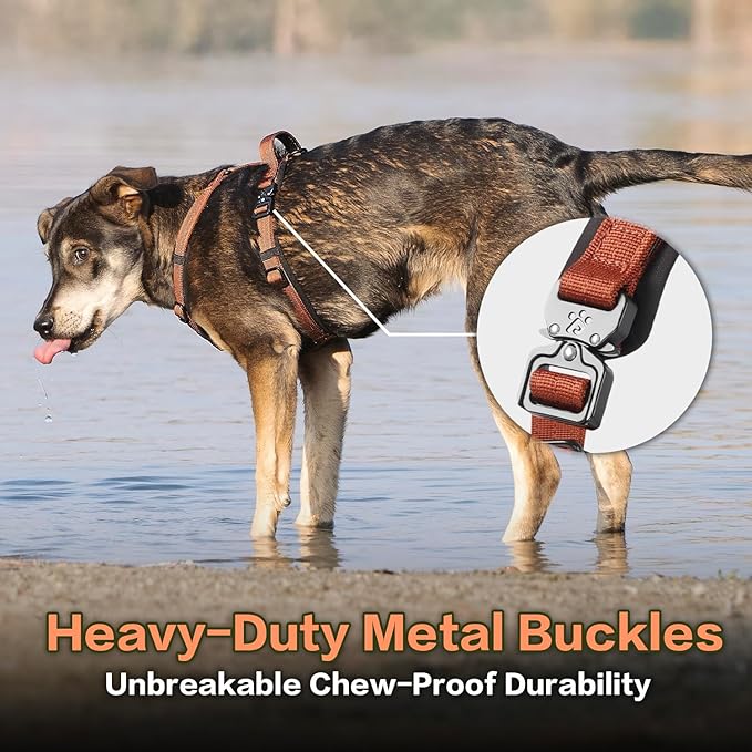 CLEPAWS Dog Harness for Small Dogs, No Pull Dog Harness Easy Walk with Metal Hardware, Ergonomic Y-Shaped Design, Soft Padding, Padded Handle, Durable High-Tensile Nylon (Canyon Red, S)