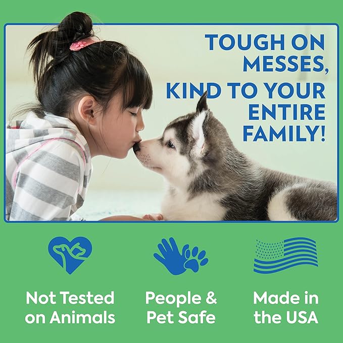 Out! PetCare Disposable Dog Diapers Male, Puppy Belly Band, Potty Training, Doggie Diapers, Belly Bands for Male Dogs, Puppy Training, Incontinence, (XS/S, 12ct)