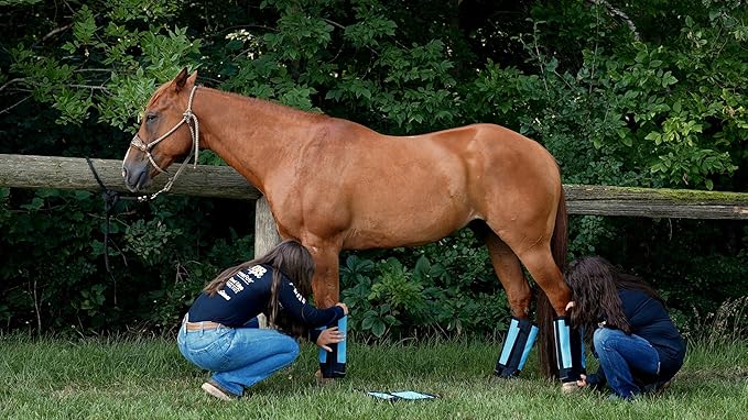 Warrior Fly Boots for Horses - Breathable Mesh Horse Boots for Fly Protection & Leg Comfort - Set of 4 (Lil Warrior, Red)