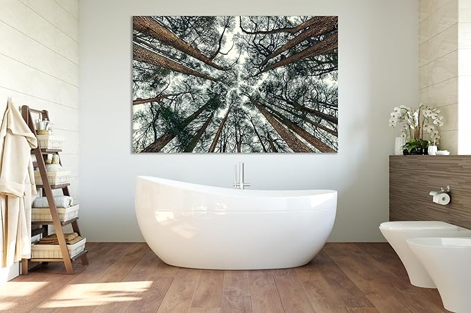 Nature Wall Art Prints - Ocean Forest Mountain Lake Canvas Landscapes - Small to Extra Large Living Room Bedroom Kitchen Bathroom Décor (Trees and Sky, 31L" x 47W")