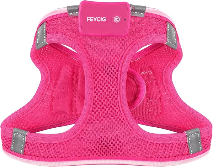 Light Up Dog Harness,Rechargeable LED Dog Harness for Small Medium Large Dogs,Reflective Lighted Safety Vest for Night Walking & Camping,Lightweight & Adjustable,Pink,S