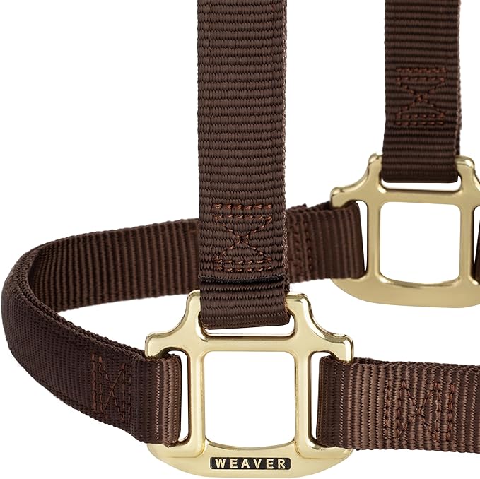 Weaver Equine Nylon Horse Halter, Triple-Ply Cheek Design, Original Non Adjustable Halters for Horses, Equine Tack,Average Size, Black