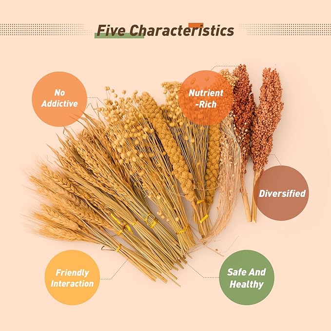 ZIPPYPET Hamster Sprays and Forage Accessories for Cages, Pet Mouse Decor Textures (7)