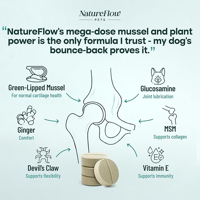 Joint Supplement for Dogs, Power of Nature Made in USA, Up to 100 Days, Unique Formula: Green-Lipped Mussel, Glucosamine, Chrondroitin, MSM, Devils Claw, Hip and Joint Supplement, All Breeds - 50 ct